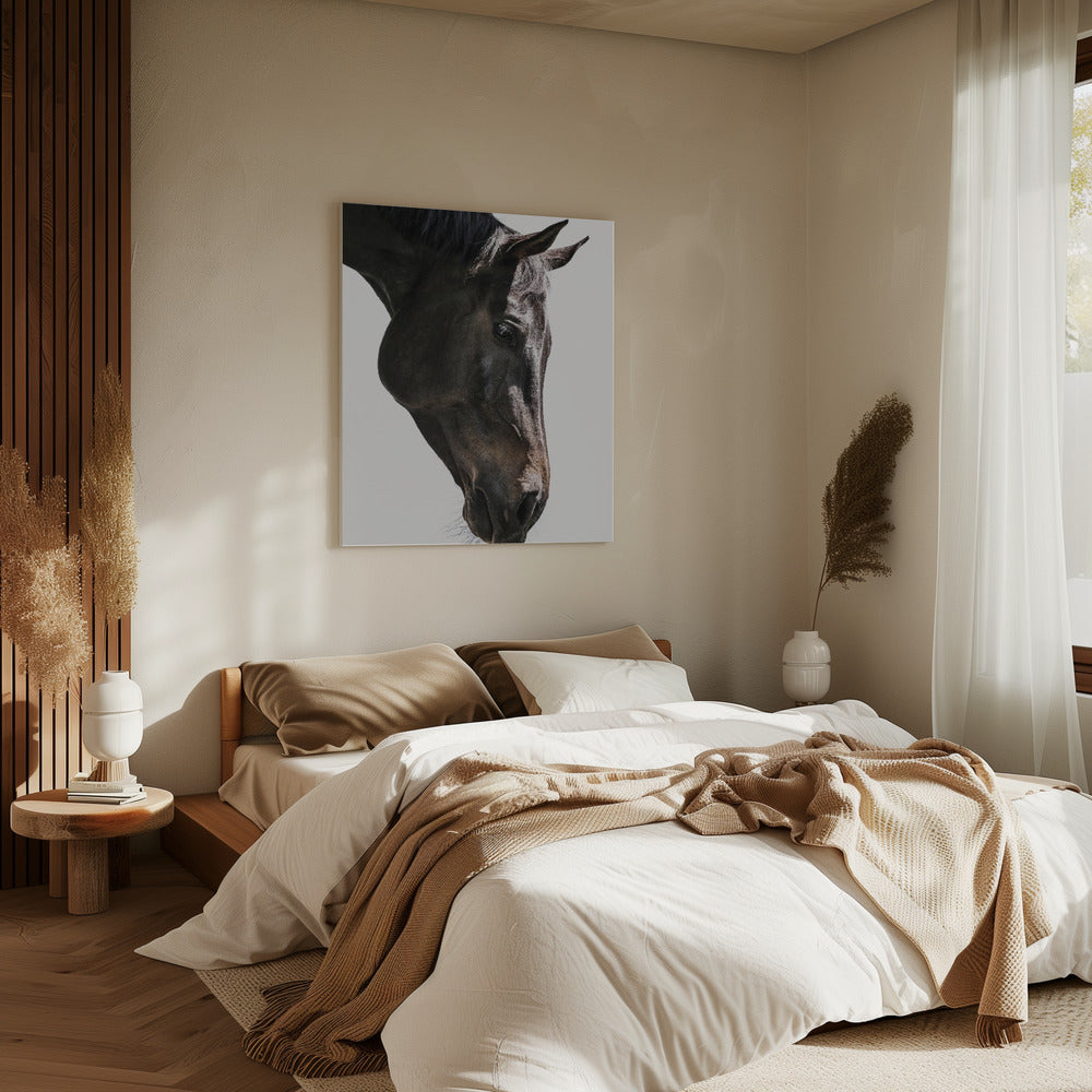 Gentle Equine Gaze | Canvas