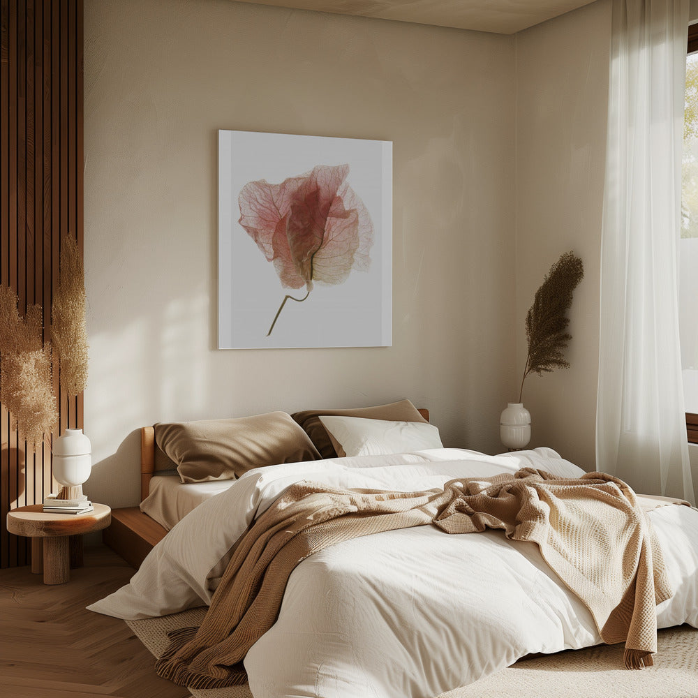 Delicate Bloemblaadjesaders | Canvas