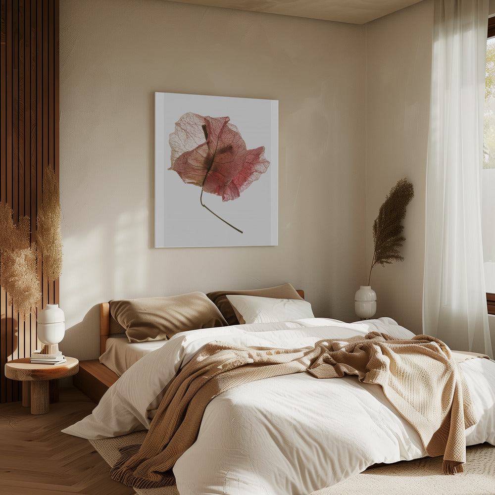 Delicate Bloemblaadjesaders | Canvas