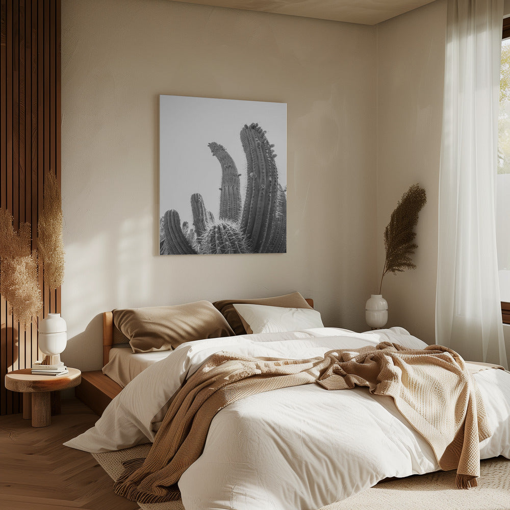 Woestijnreuzen | Canvas