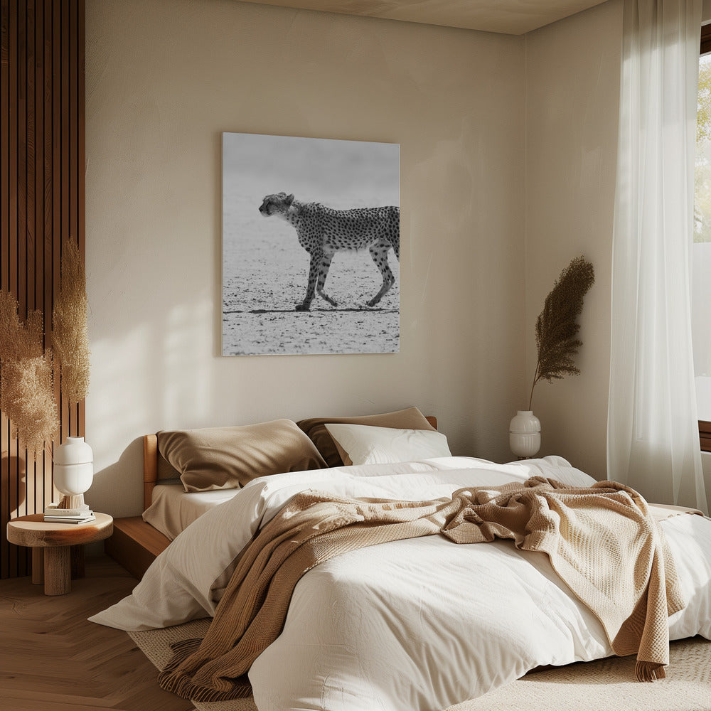 Stille Achtervolging | Canvas