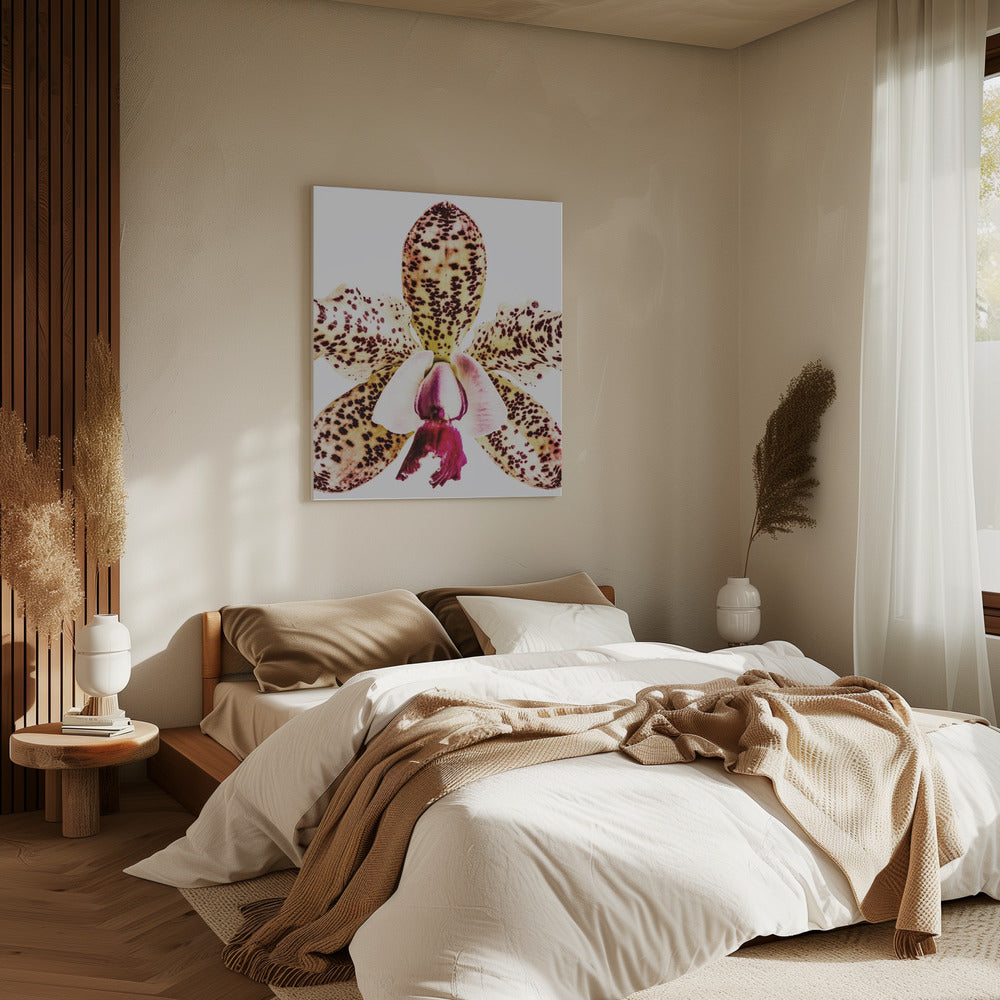 Gevlekte orchideeënuitbarsting | Canvas