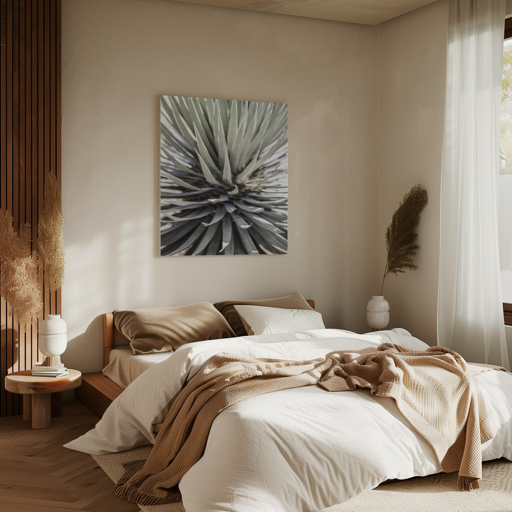 Stekelige sereniteit | Canvas