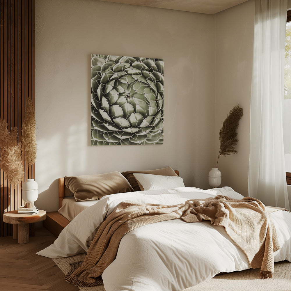Geometrische vetplant | Canvas