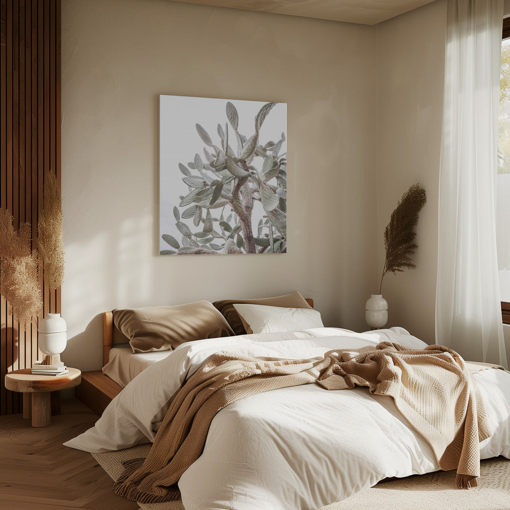 Cactus Fluisteringen | Canvas