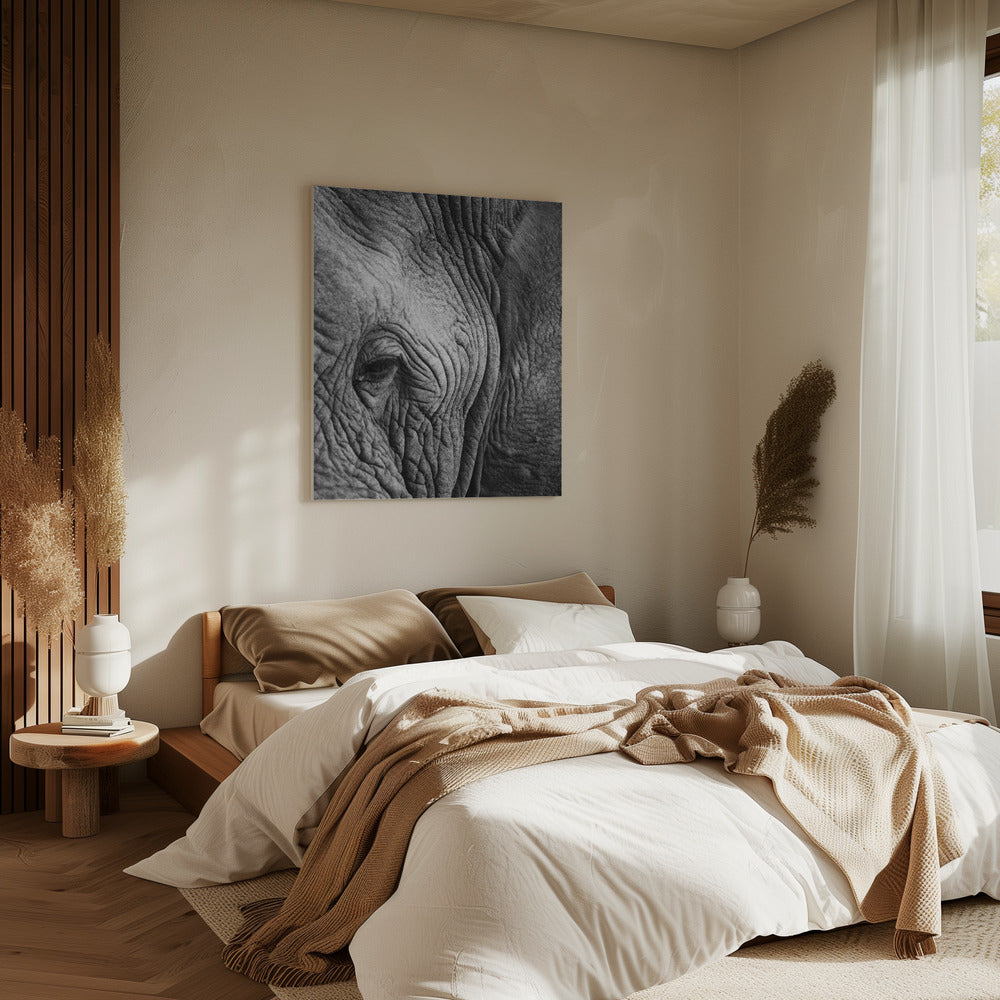 Rimpels van de wijsheid | Canvas