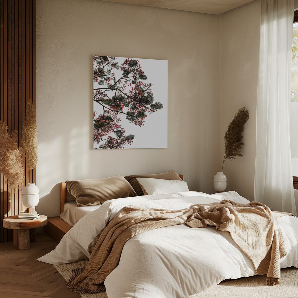 Bloesemluifel | Canvas