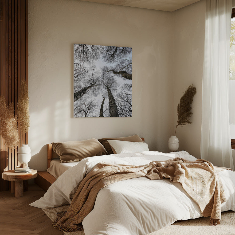 Winter's Omhelzing | Canvas