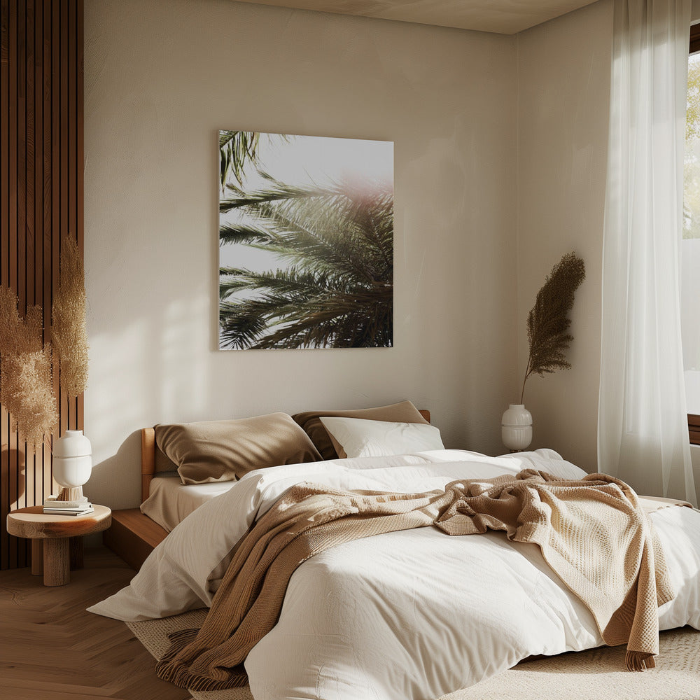 Sunlit Palm Dream | Canvas