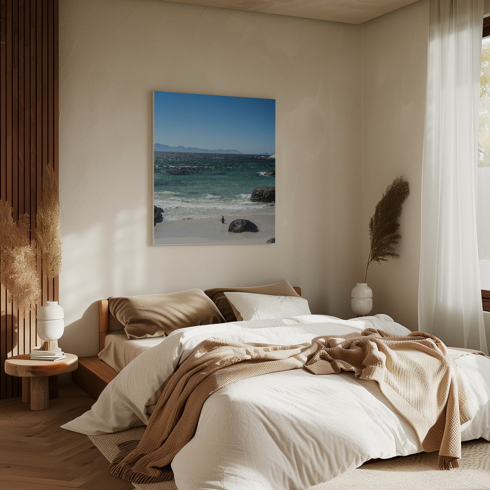 Pinguïnstrandwandeling | Canvas