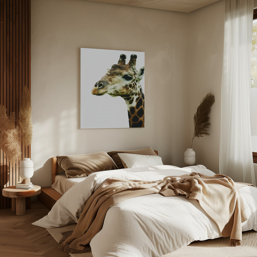 De sierlijke blik van de giraf | Canvas