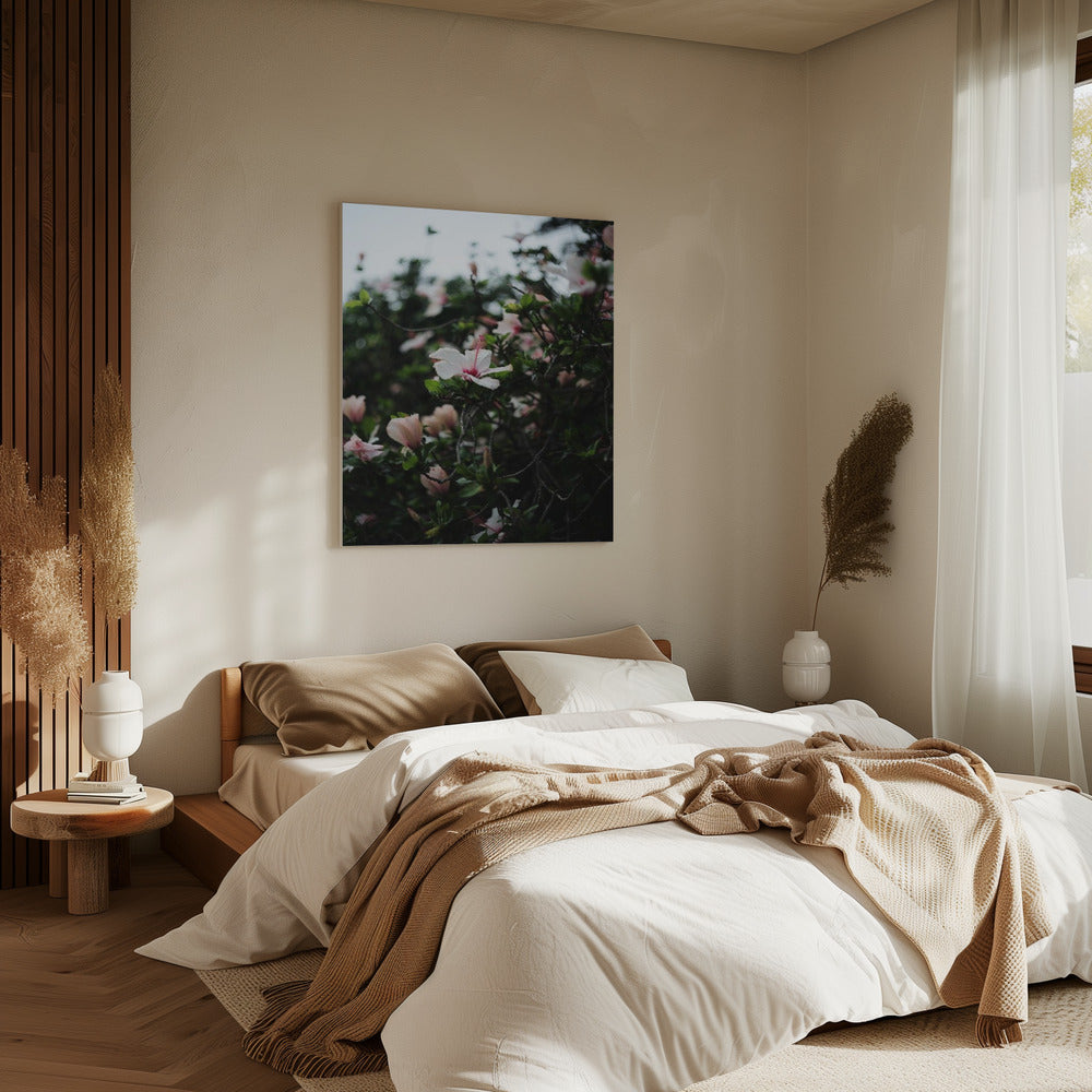 Bloeiende bloesems | Canvas