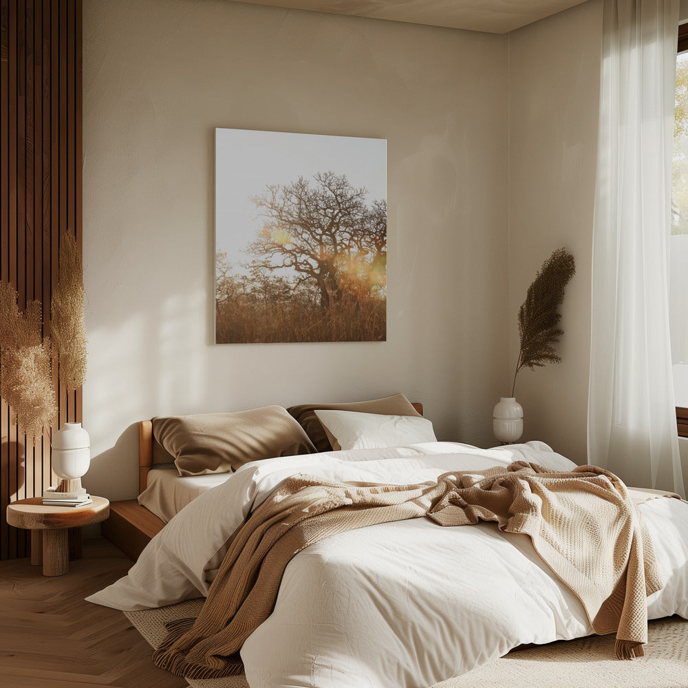 Zonovergoten silhouet | Canvas