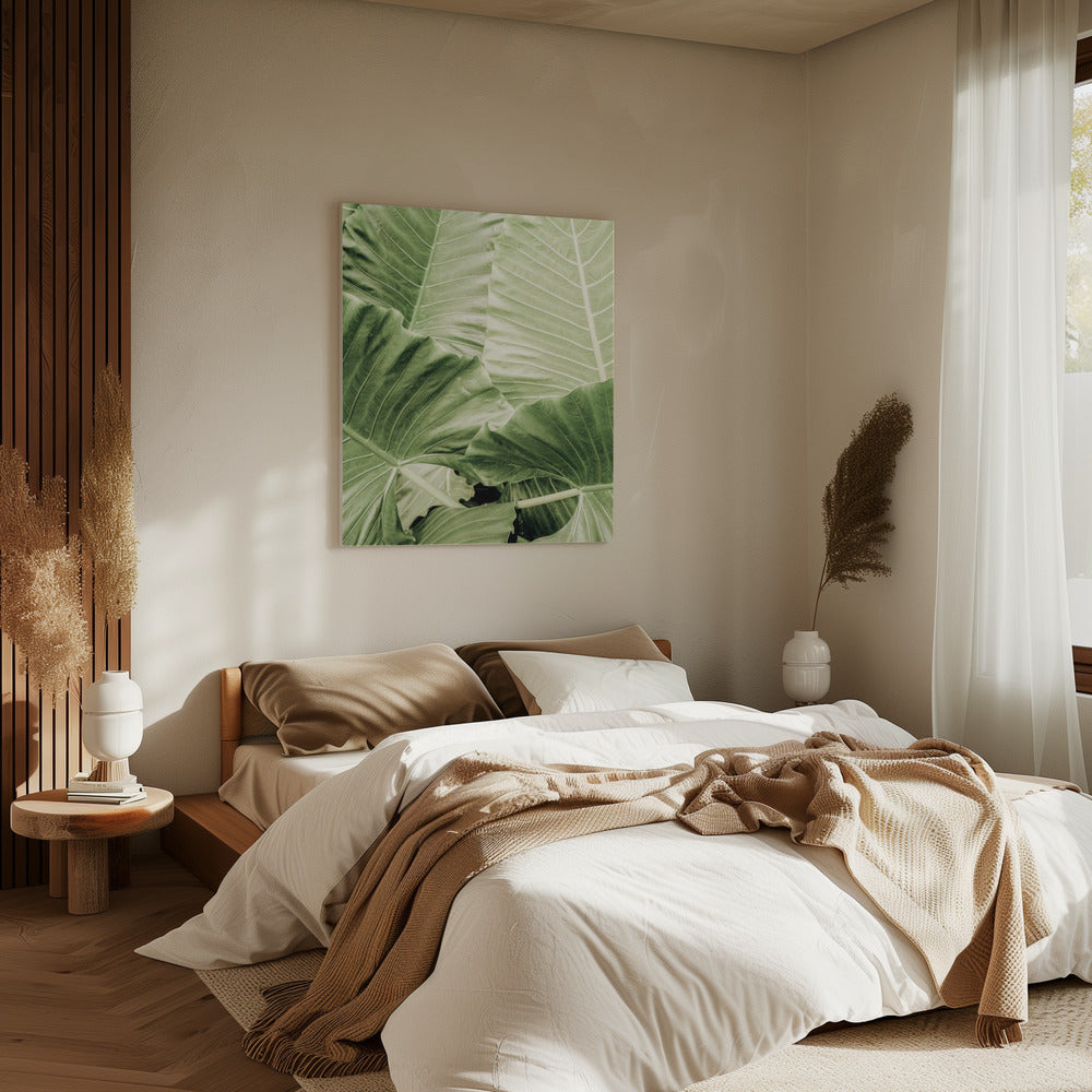Groen gebladerte | Canvas