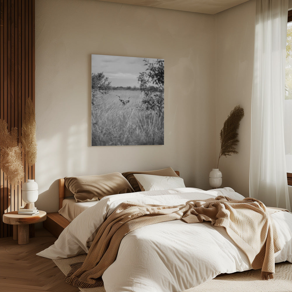 Verborgen in het gras | Canvas