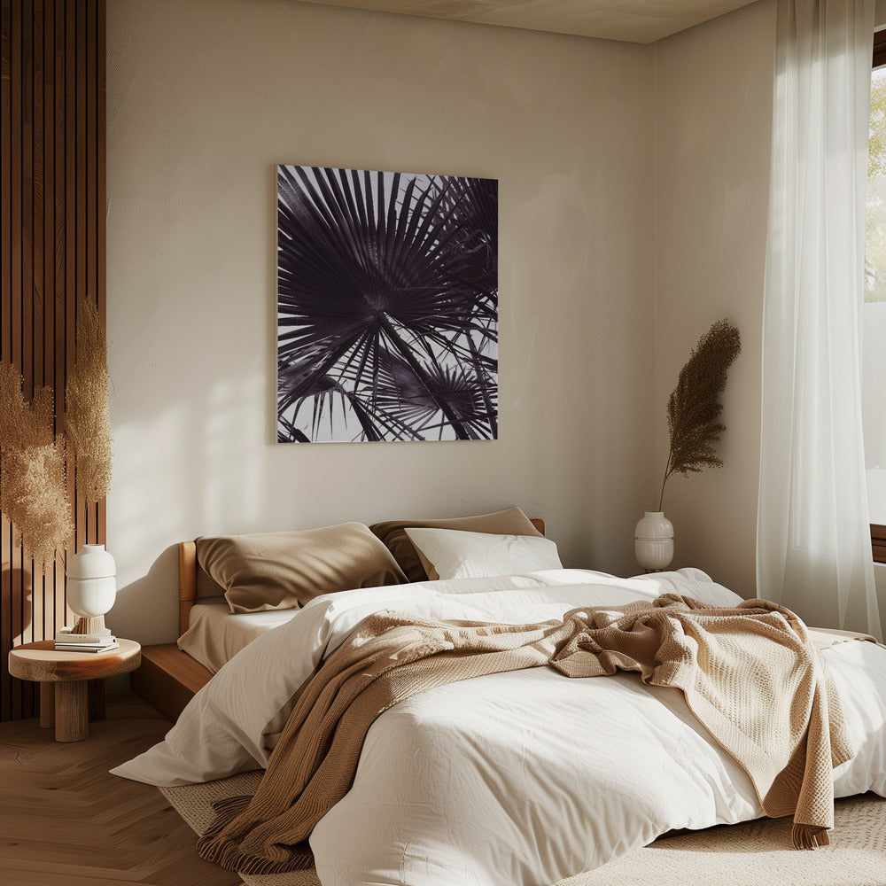 Palm silhouet | Canvas