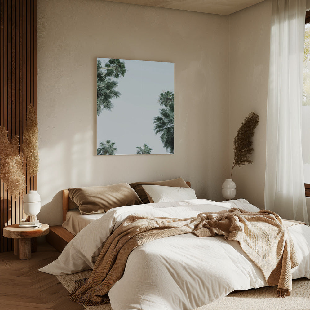 Palmboom Sereniteit | Canvas