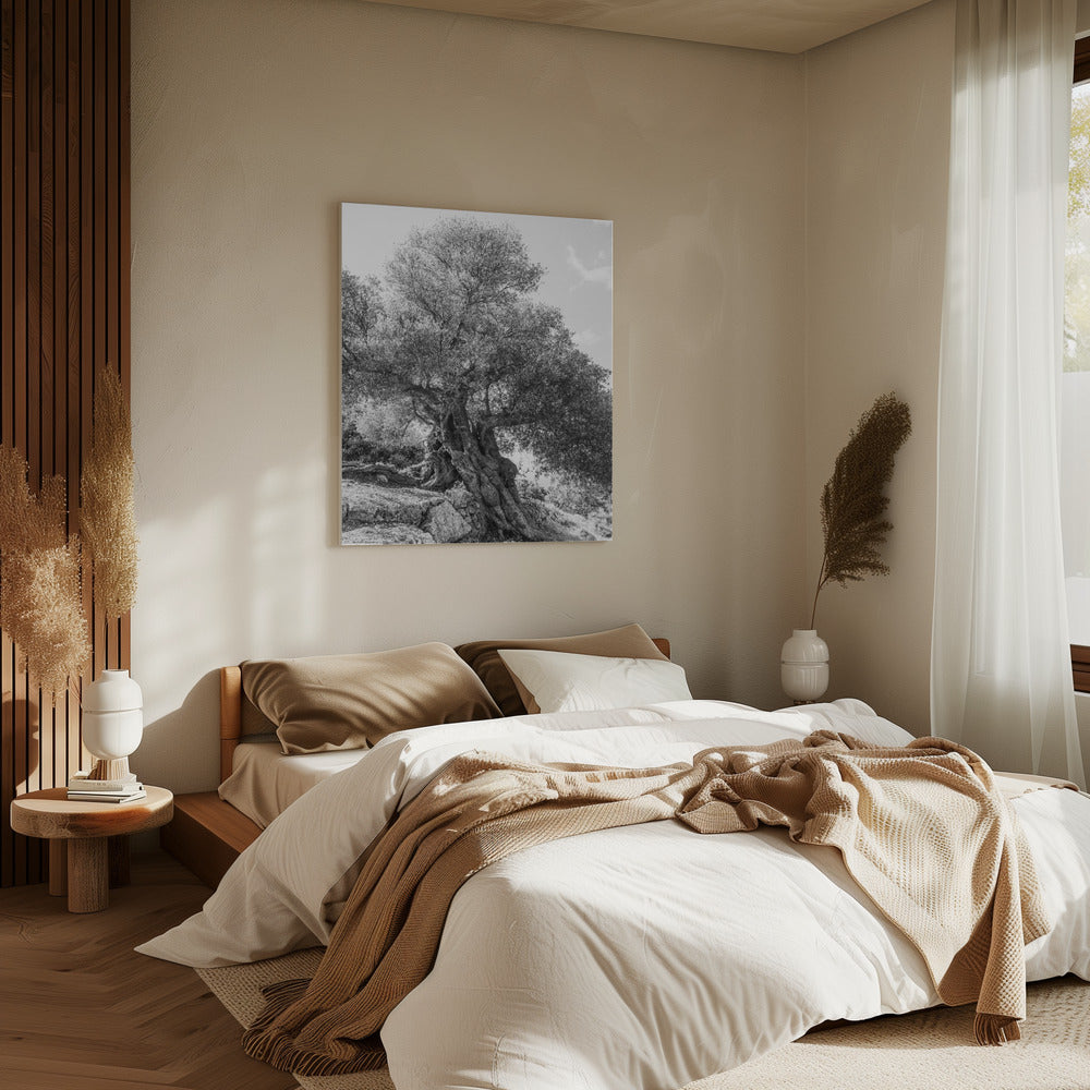 Oude Schildwacht | Canvas
