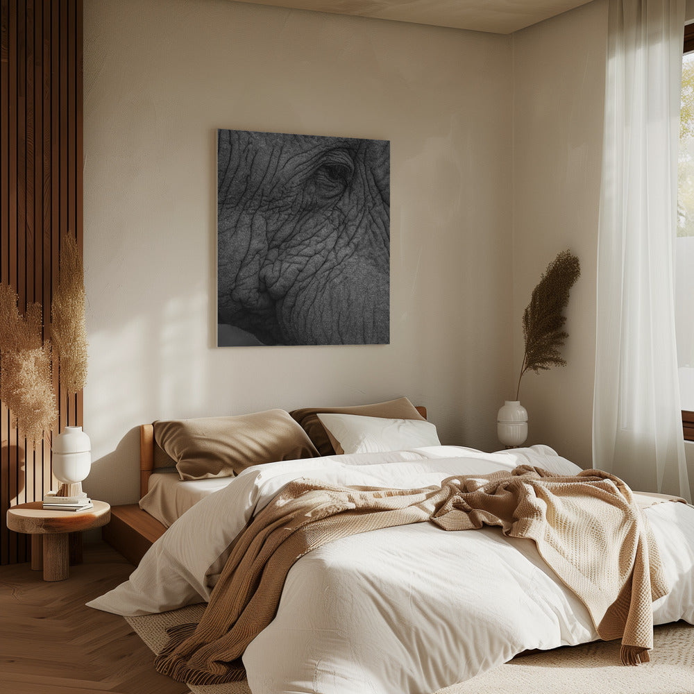 Olifantenwijsheid | Canvas
