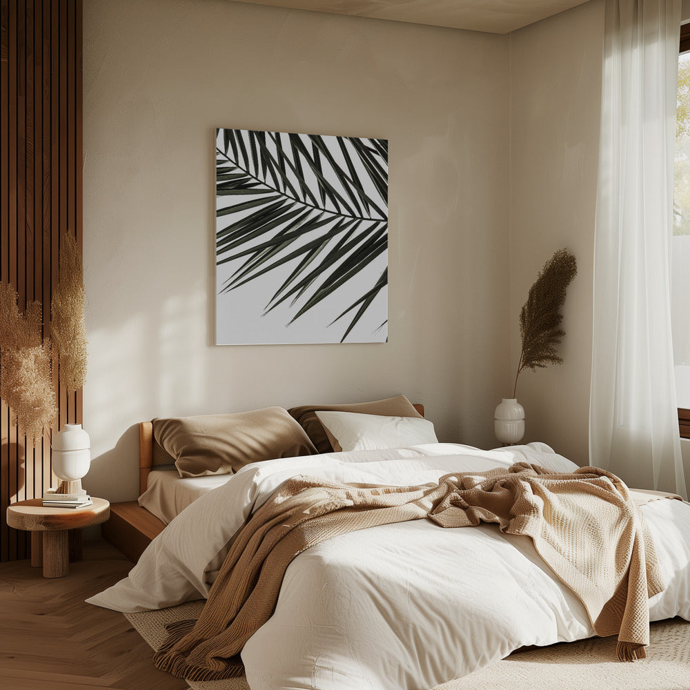 Schaduwen van varens | Canvas