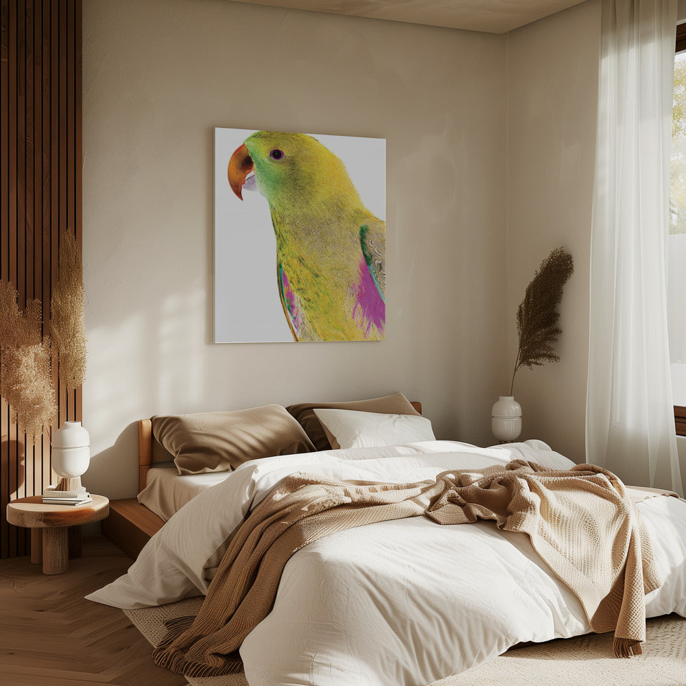 Levendig papegaaienprofiel | Canvas
