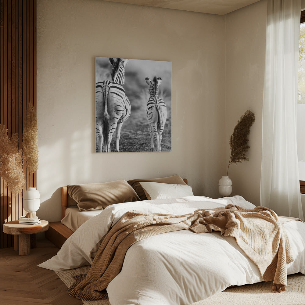 Striped Horse Back Side | Canvas