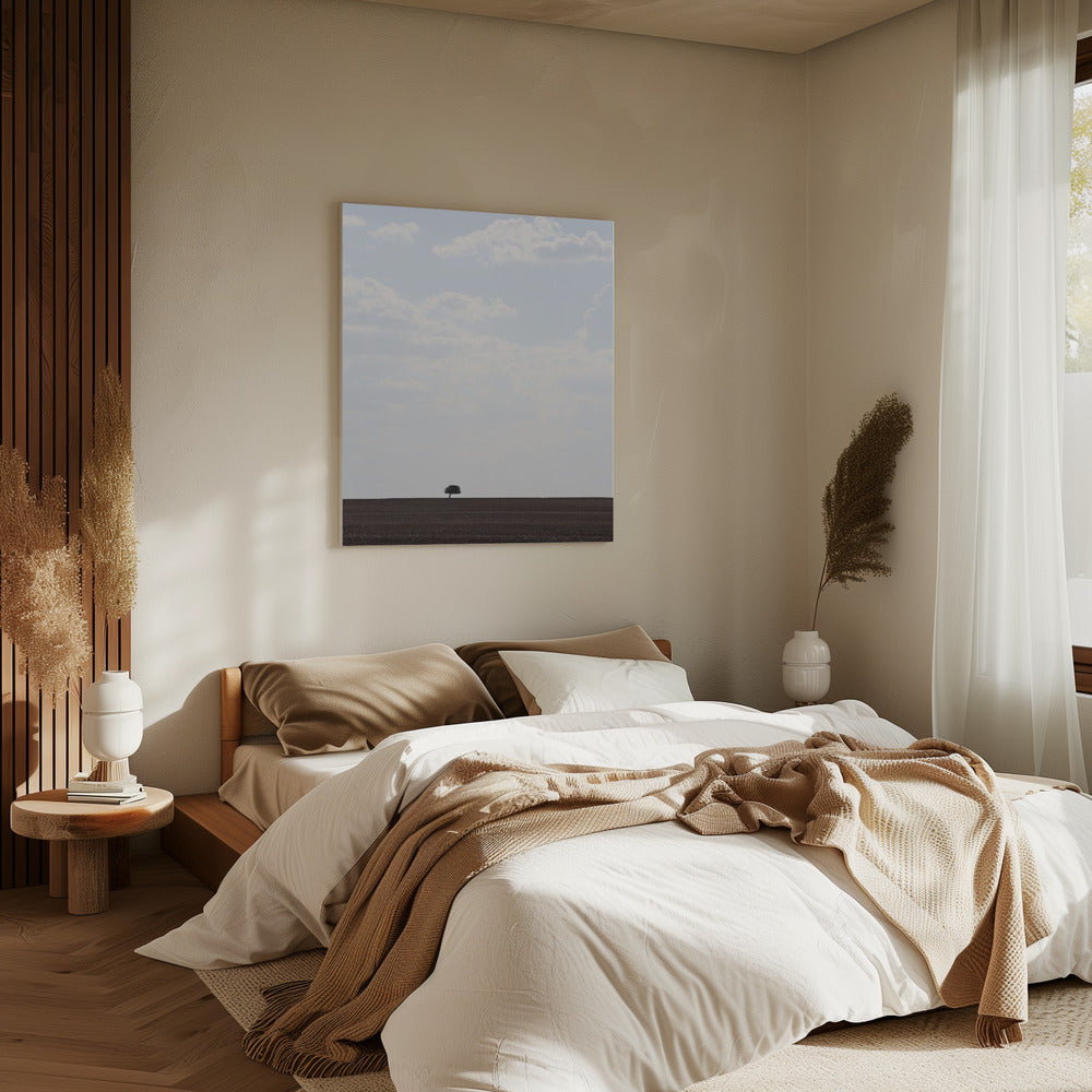 Swart Land | Canvas