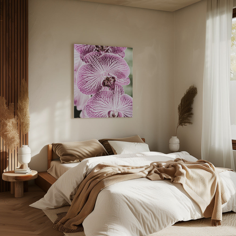 Tiger Blooms | Canvas