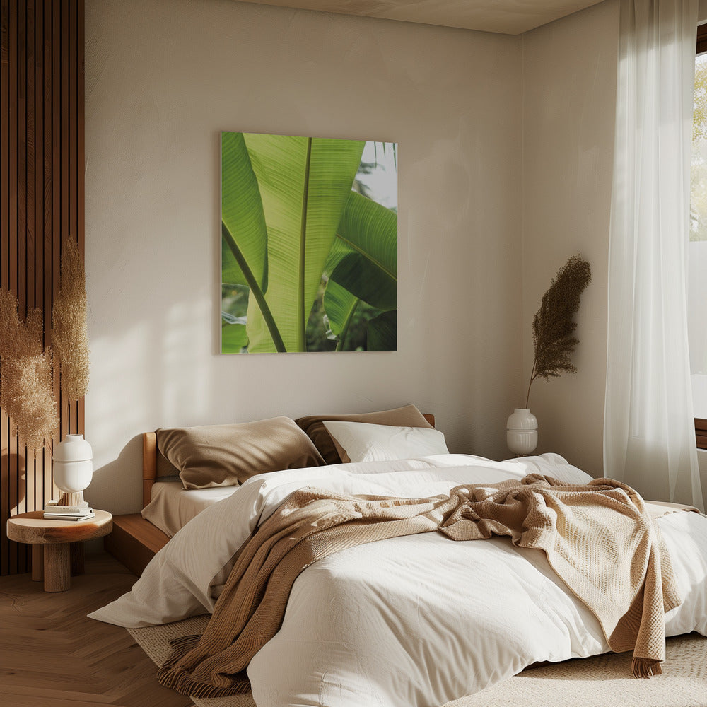 Tropische bananenbladeren | Canvas