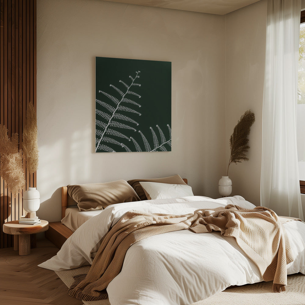 Fern's Gentle Curve | Canvas