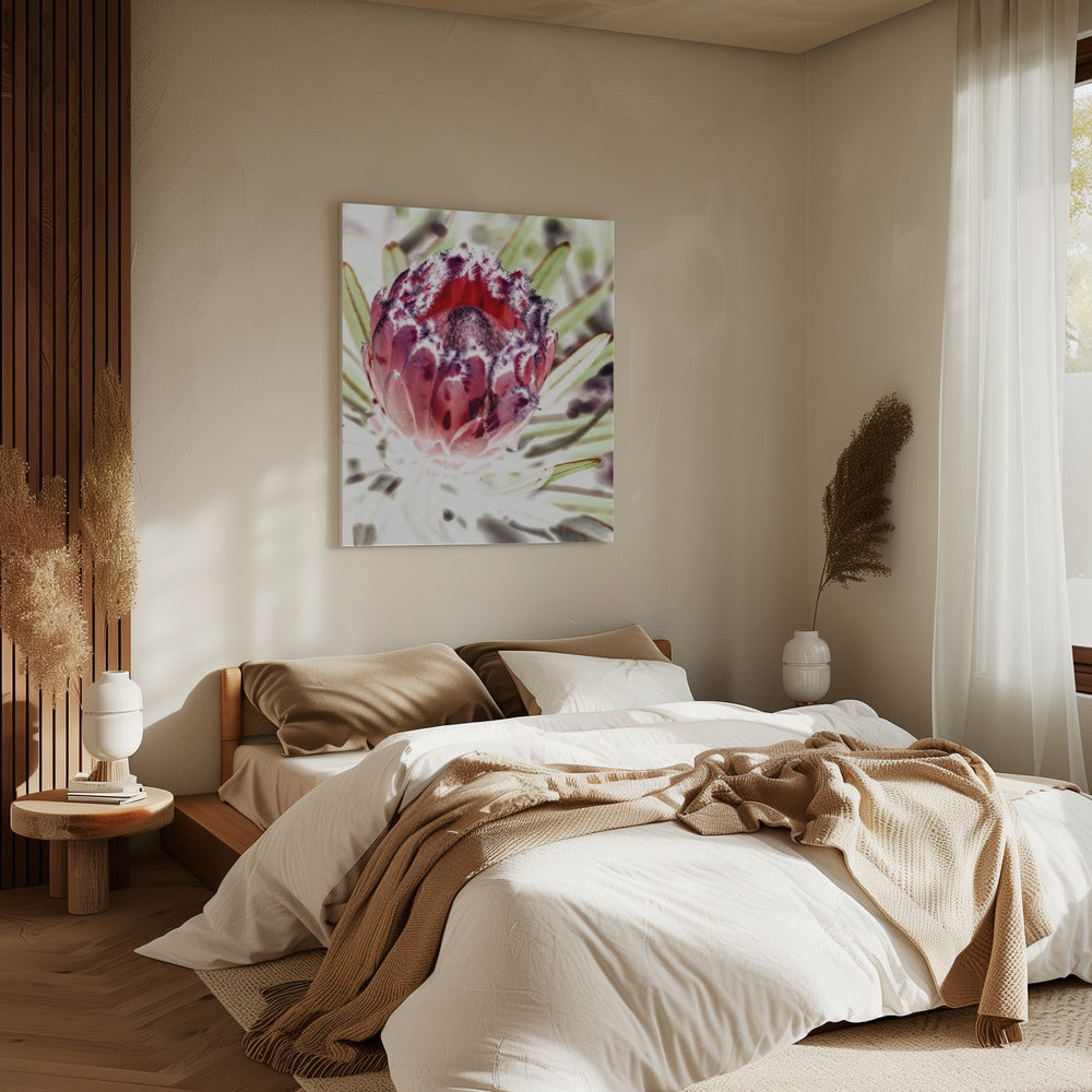 Bloeiende Protea Bloem | Canvas