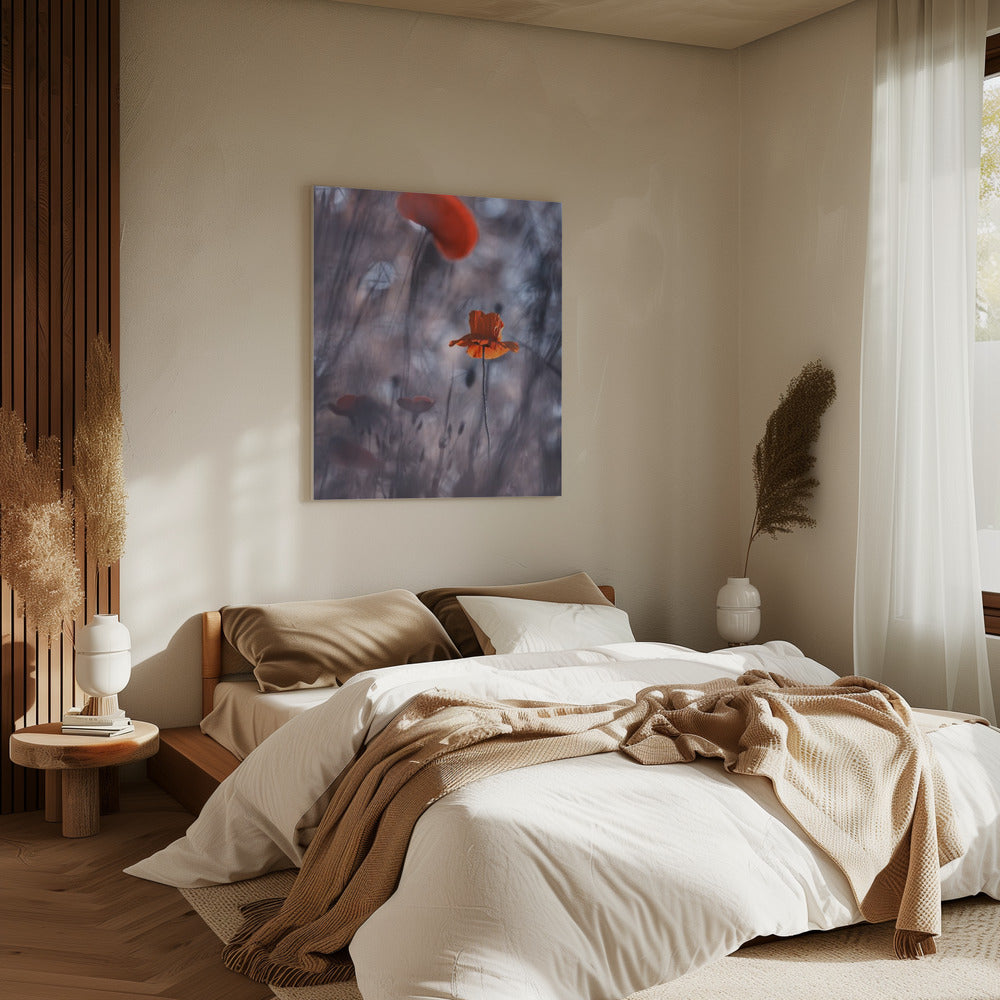 Verlangens en passies | Canvas