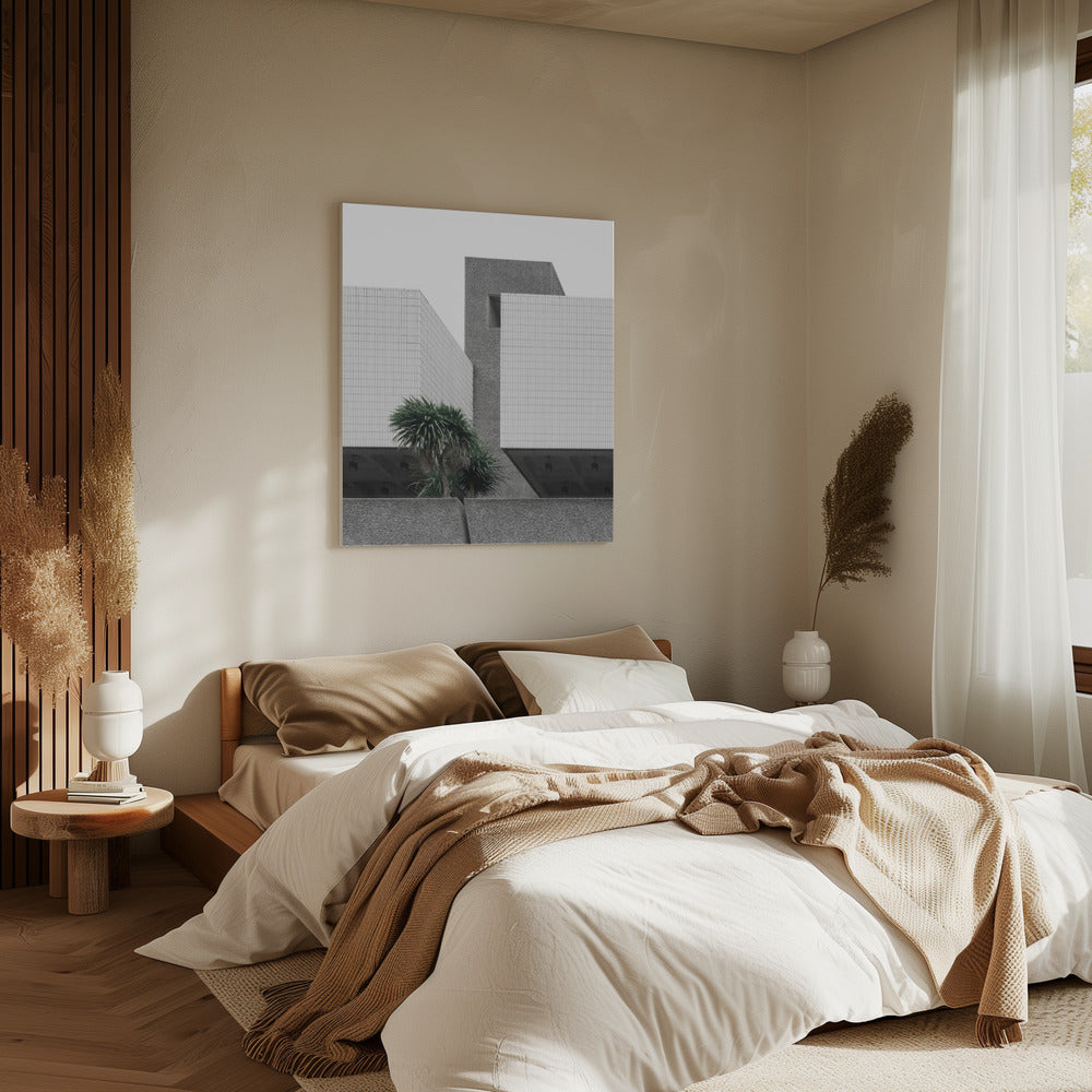 Eenzame palmen | Canvas