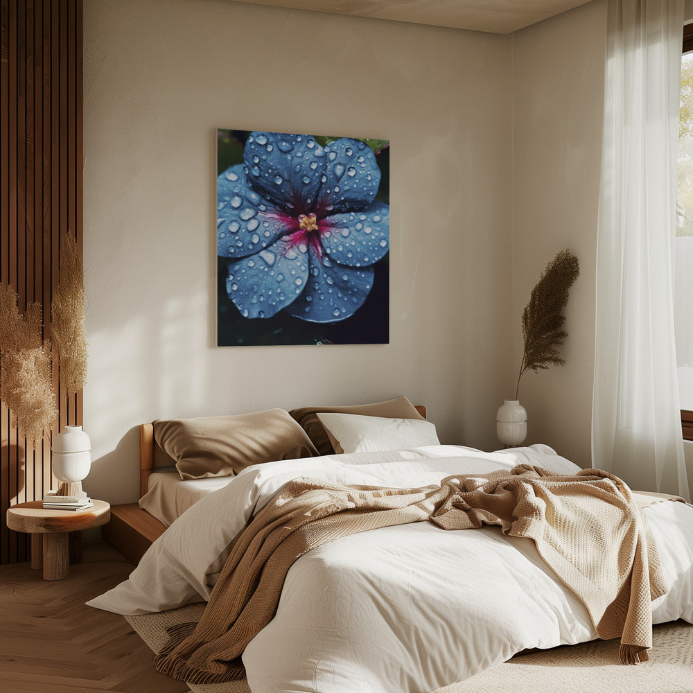 Regendruppelbloesem | Canvas