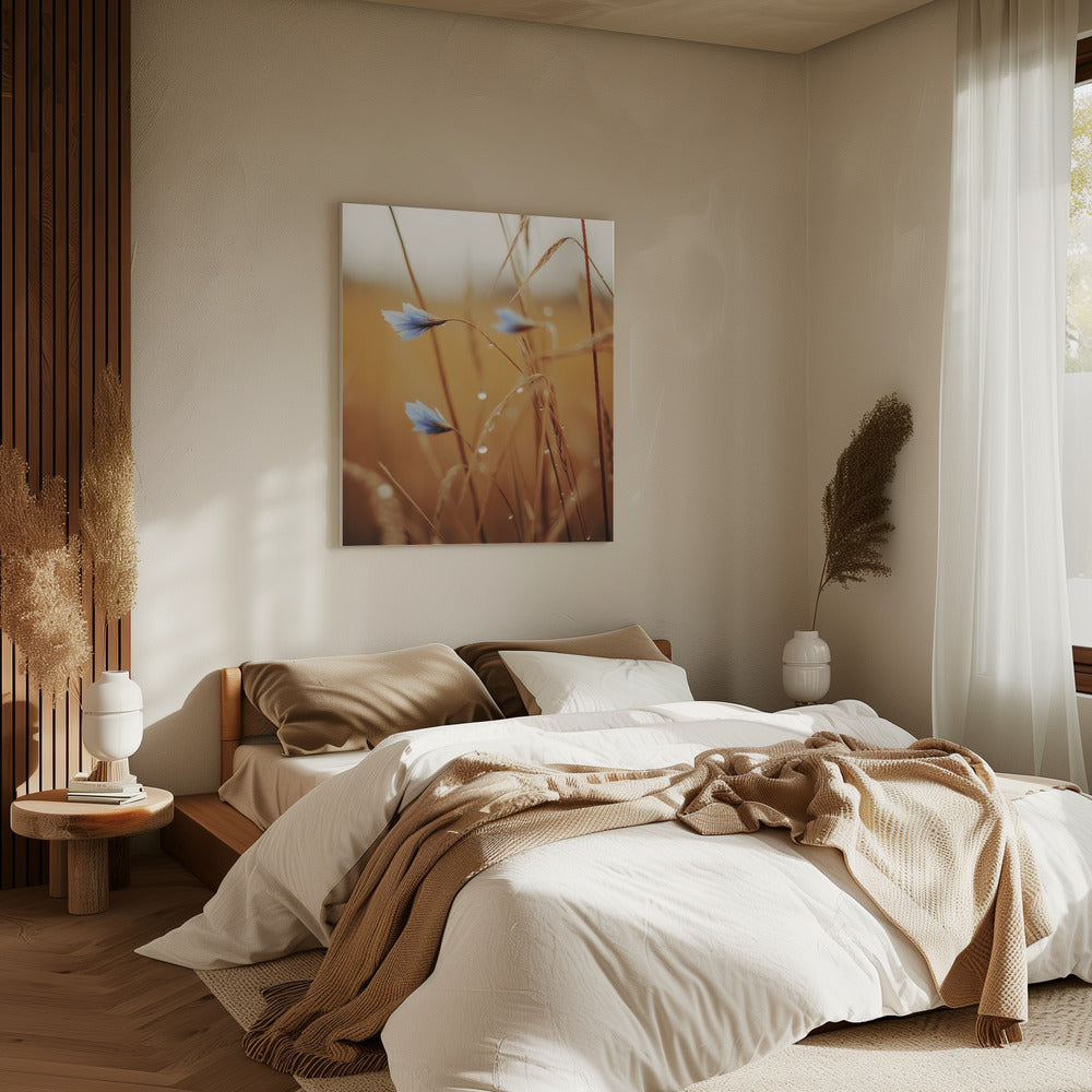 Blauwe bloemen bij zonsopgang | Canvas
