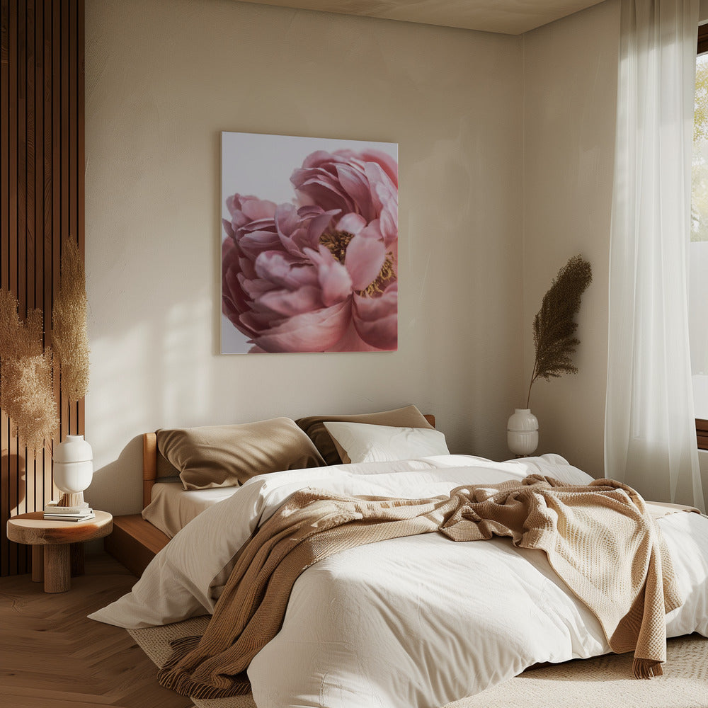 Pioenroos | Canvas