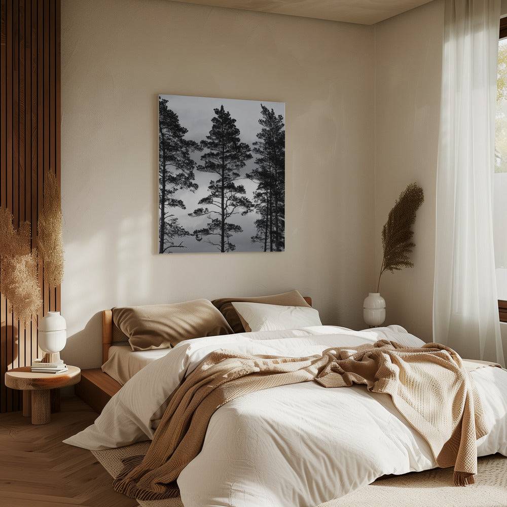 Zweedse bomen | Canvas