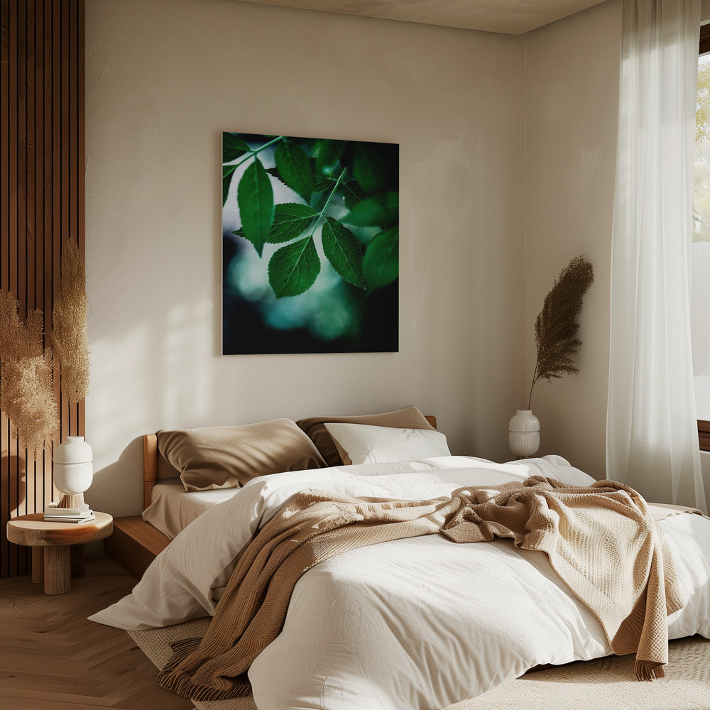 Donkere bladeren 14 | Canvas