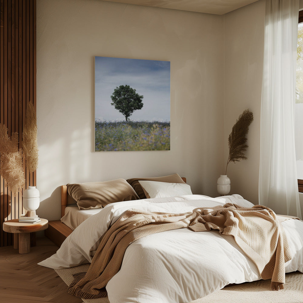 Summer Meadow | Canvas