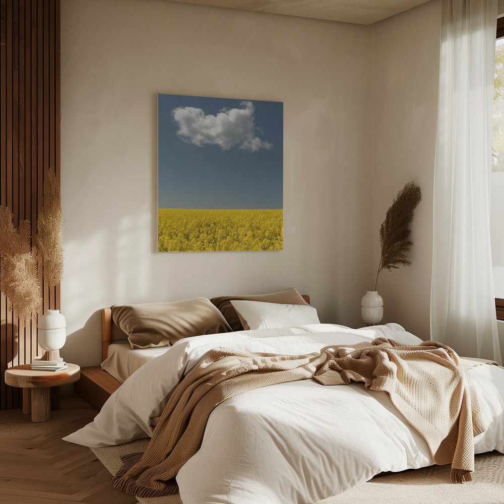 Visie | Canvas