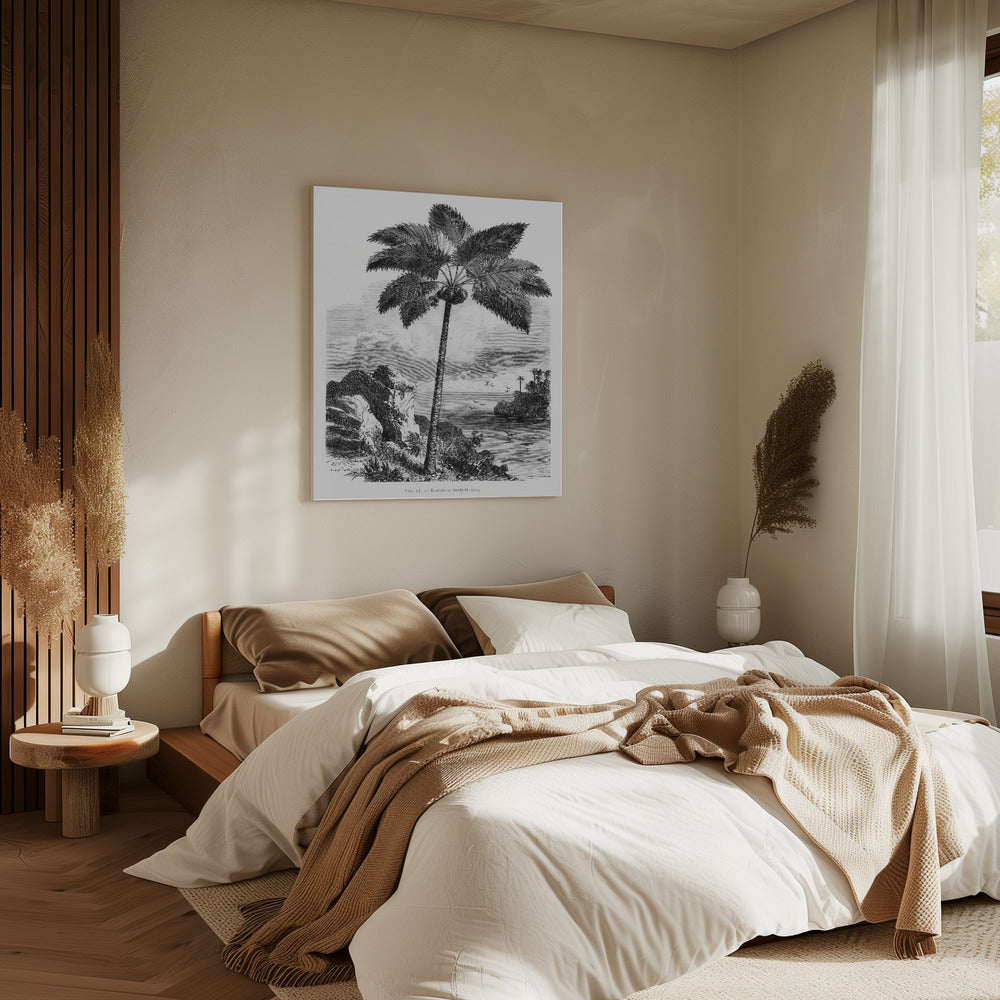 Vintage palmboom tekening I | Canvas