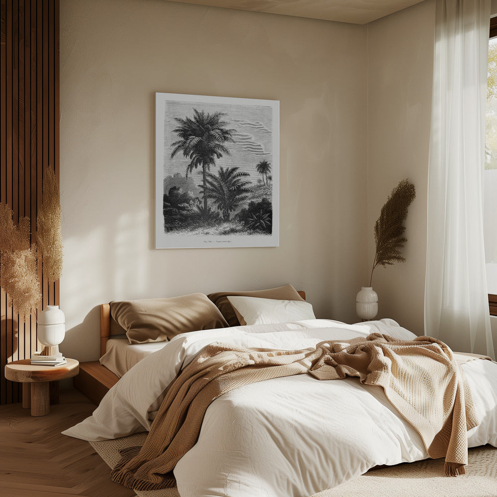Vintage palmboom tekening V | Canvas