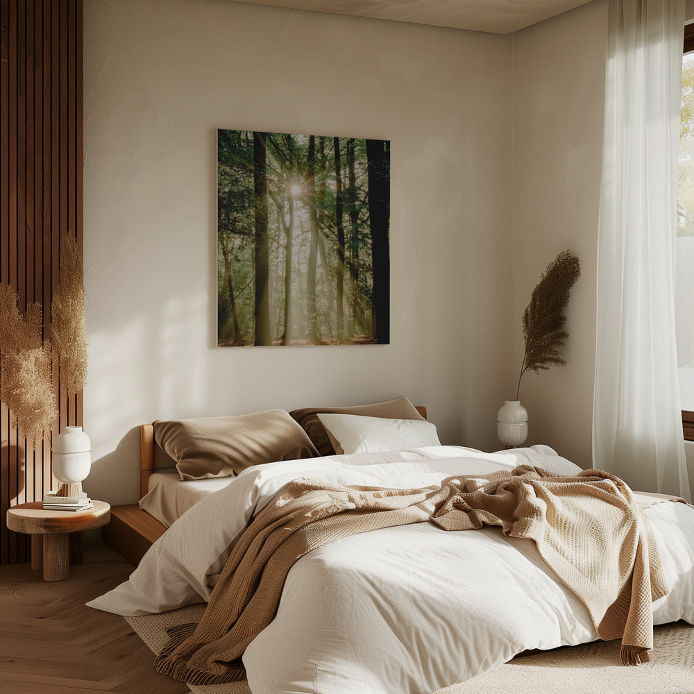 Sunbeams through the forest | Canvas