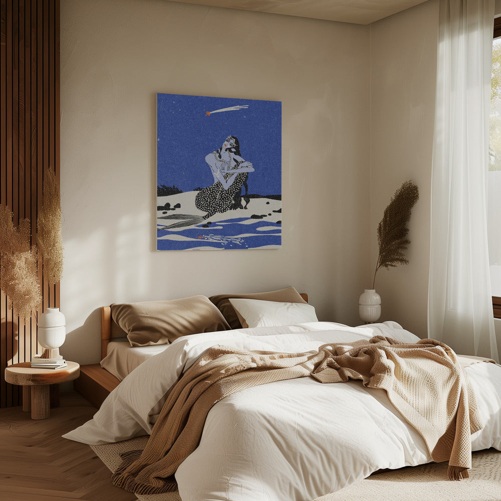 Vallende ster | Canvas