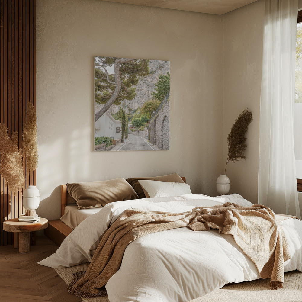 Straten van Capri | Canvas