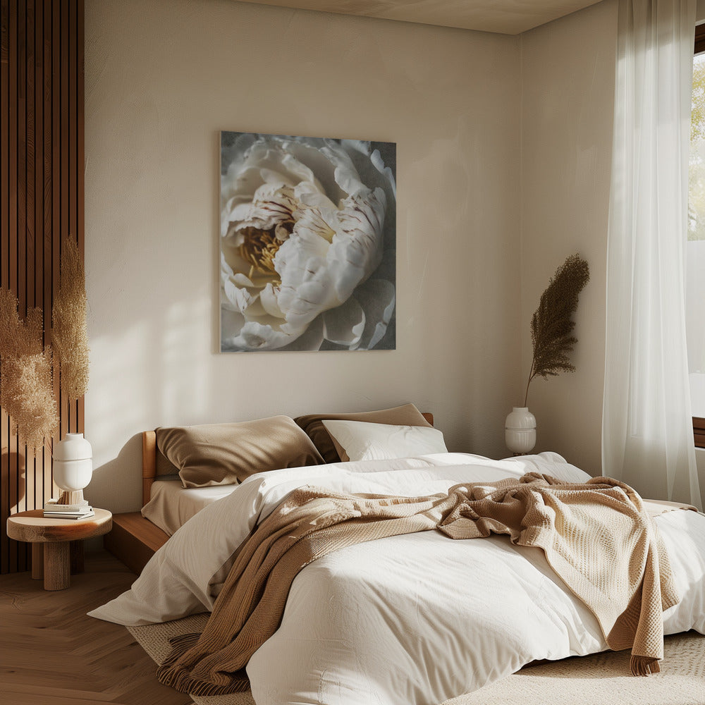 Bloemblaadjes van Sereniteit | Canvas