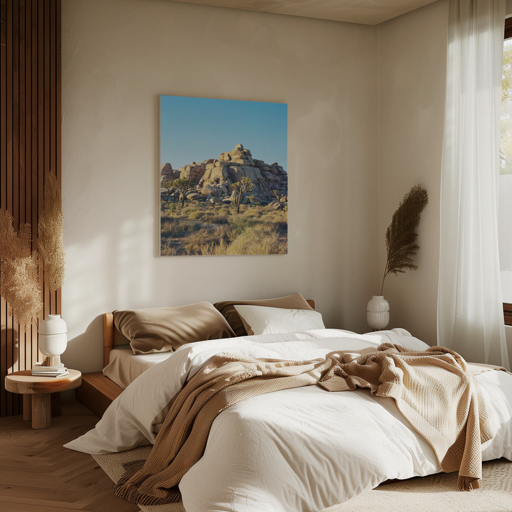 Joshua Tree Zonsondergang | Canvas