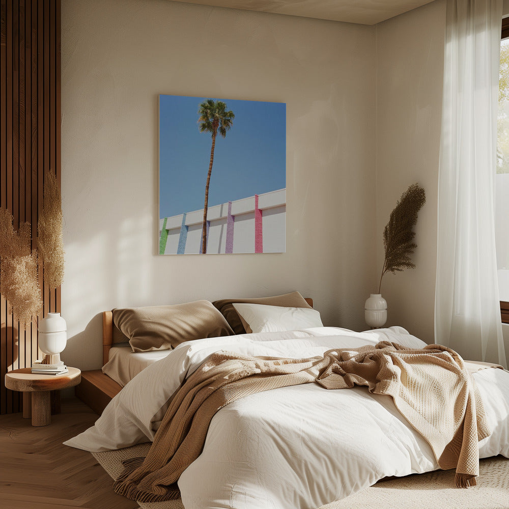 Palm Springs II | Canvas