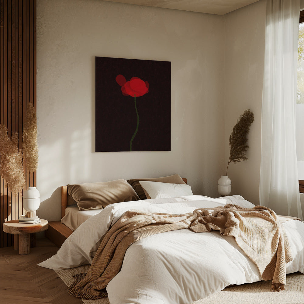 Klaproos | Canvas