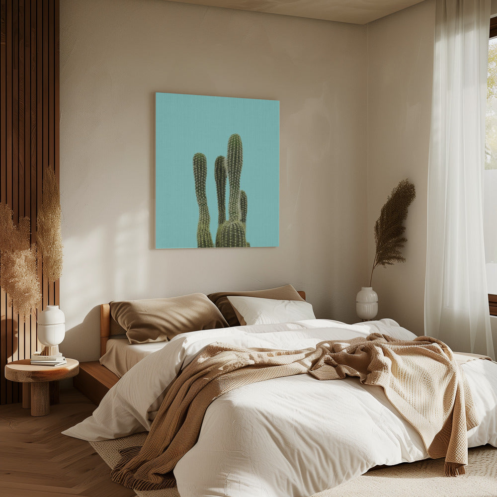 Turkooizen Cactus | Canvas